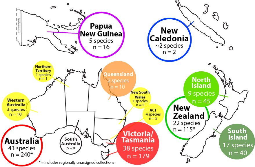 AustralAsia Map